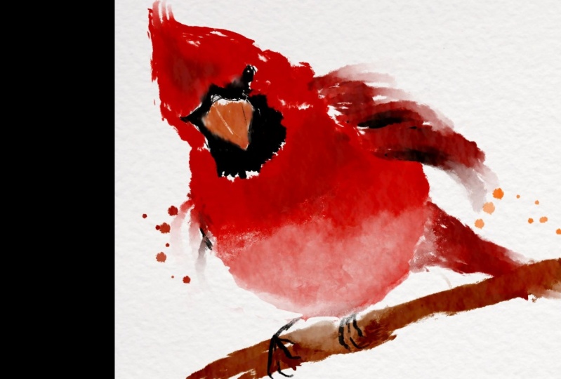 10-minute cardinal in Procreate