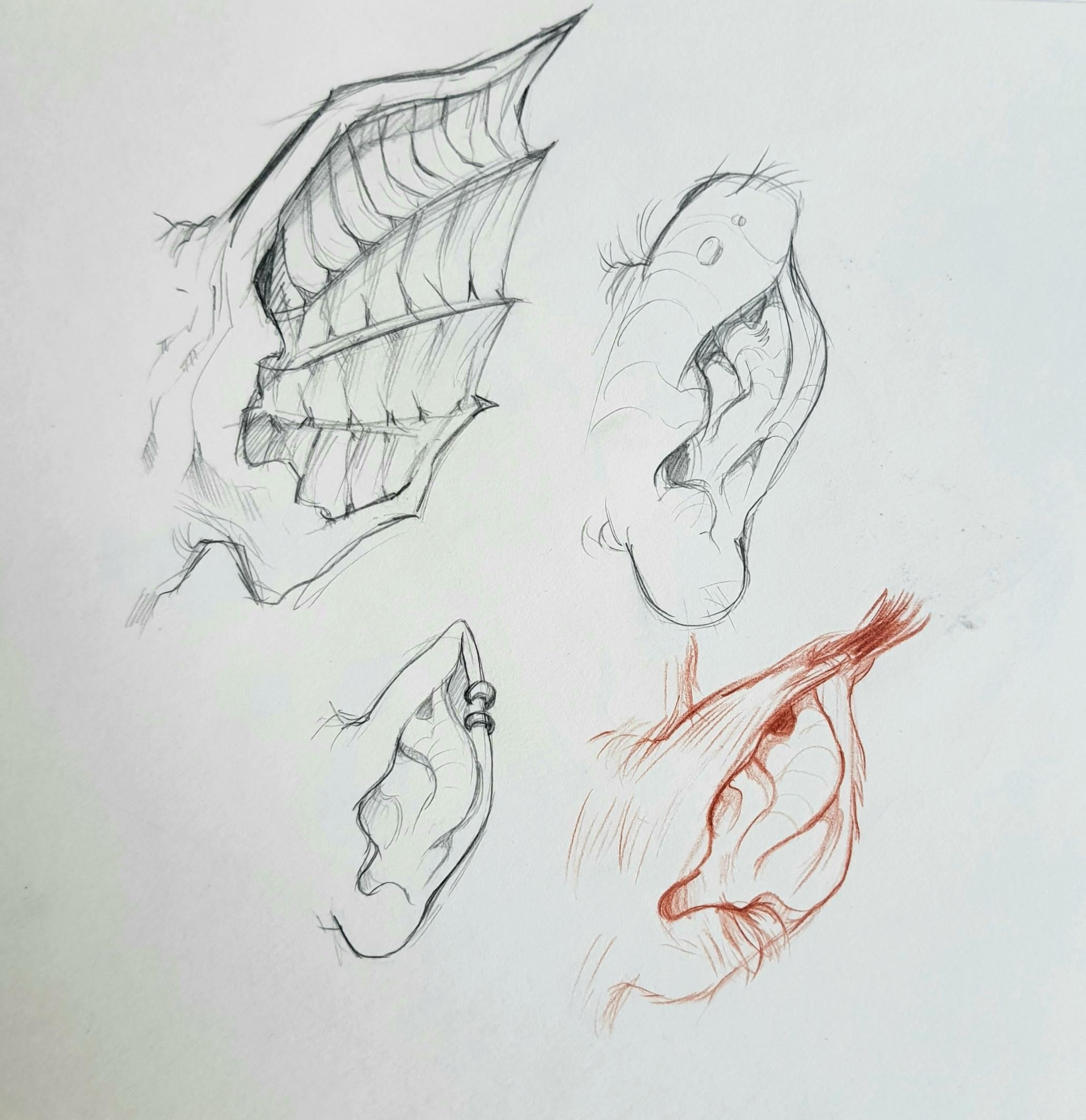 more-projects-from-class-img