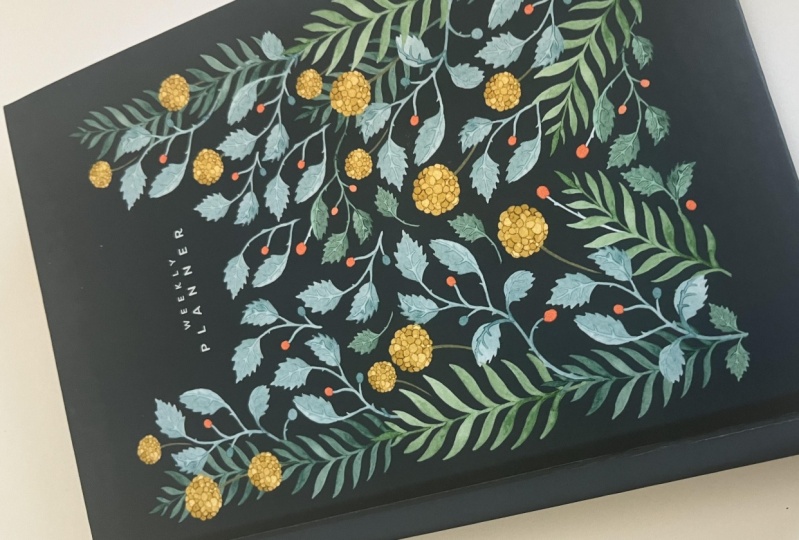 Planning a Life You Love: Creating, Organizing, & Utilizing an Agenda