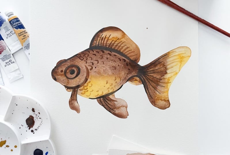 Three sets of goldfish