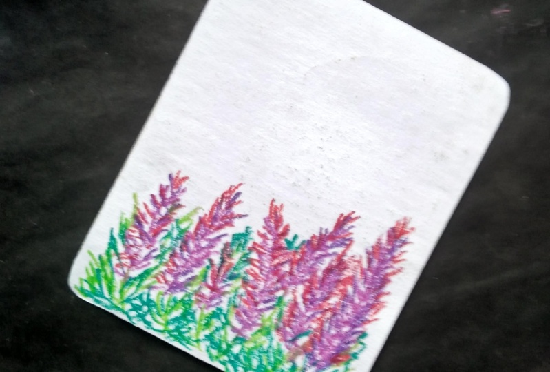 Lavenders