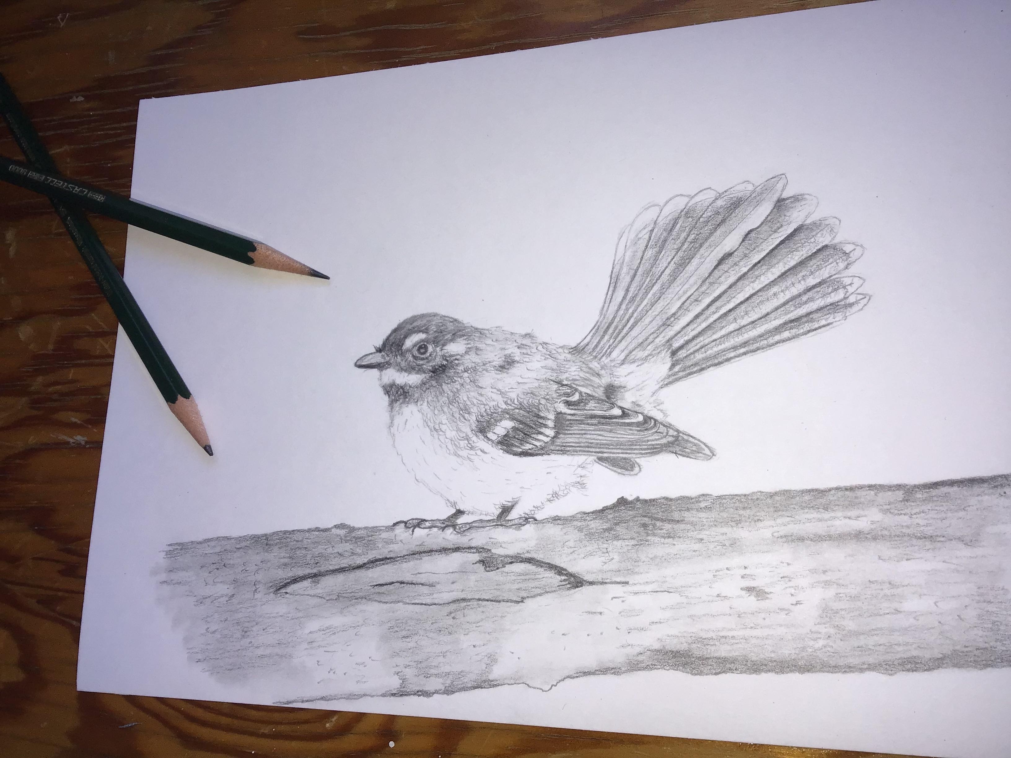 more-projects-from-class-img