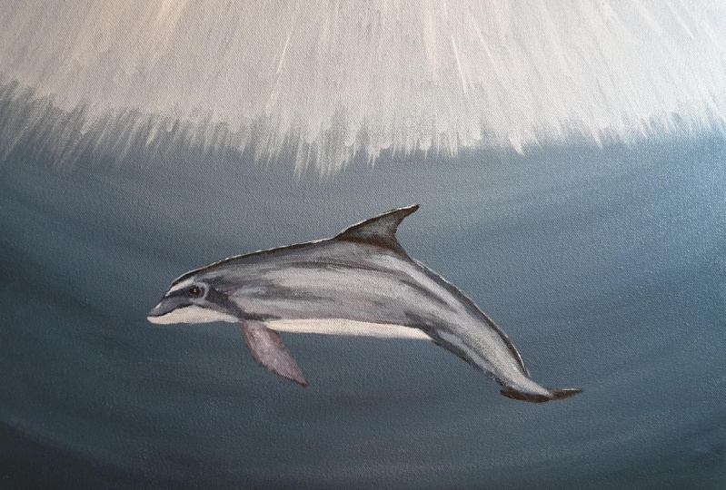 Dolphin Encounter