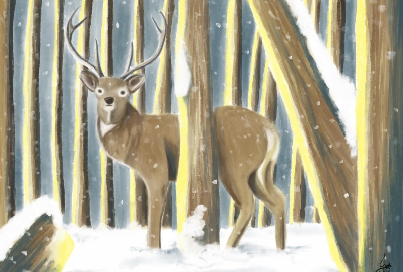 Illustrative Oil Painting in Procreate