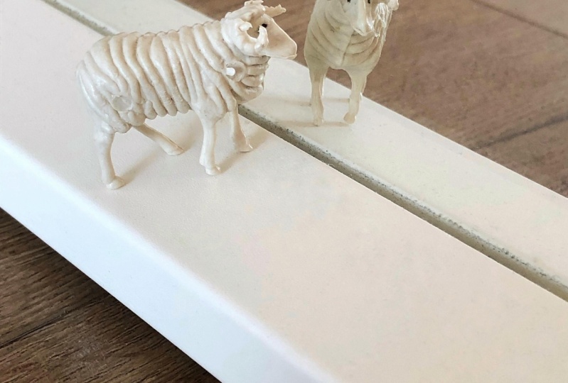 Her:the sheep