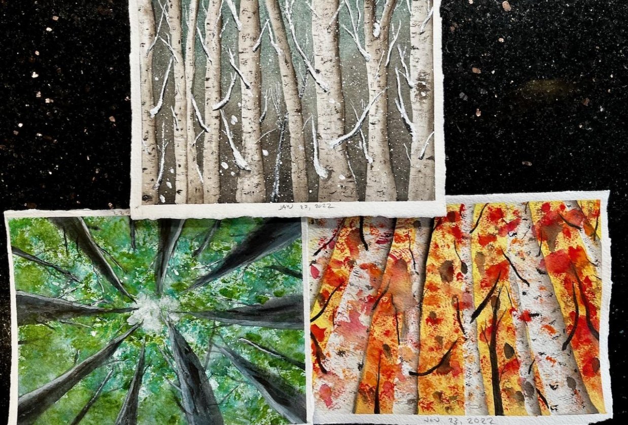Simple Forests - student project