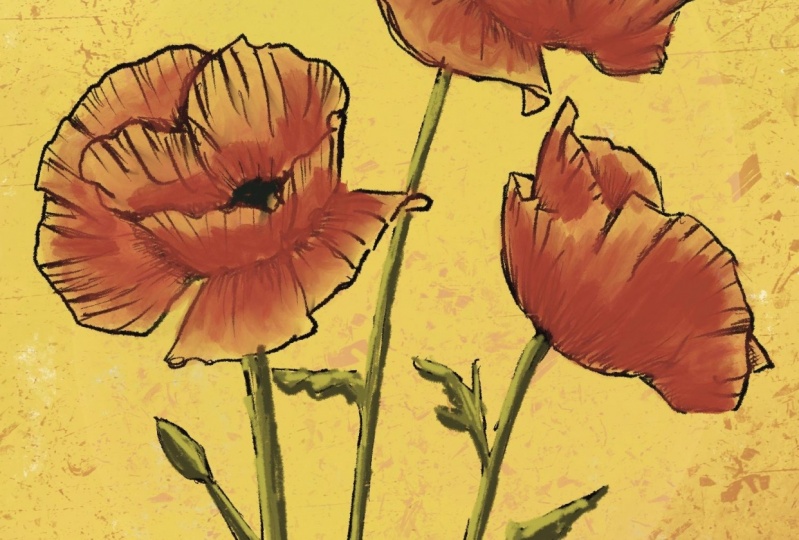 Poppies
