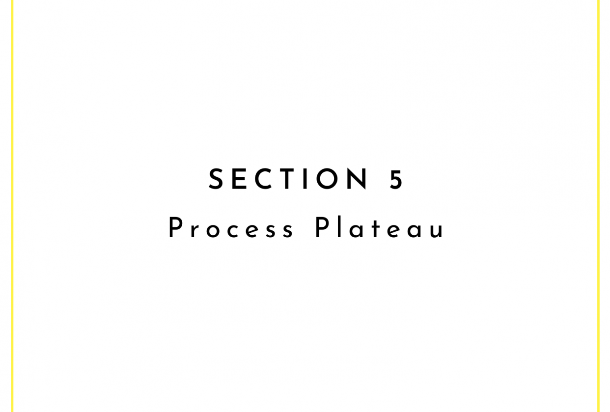 Class Project Example: Process Plateau - student project