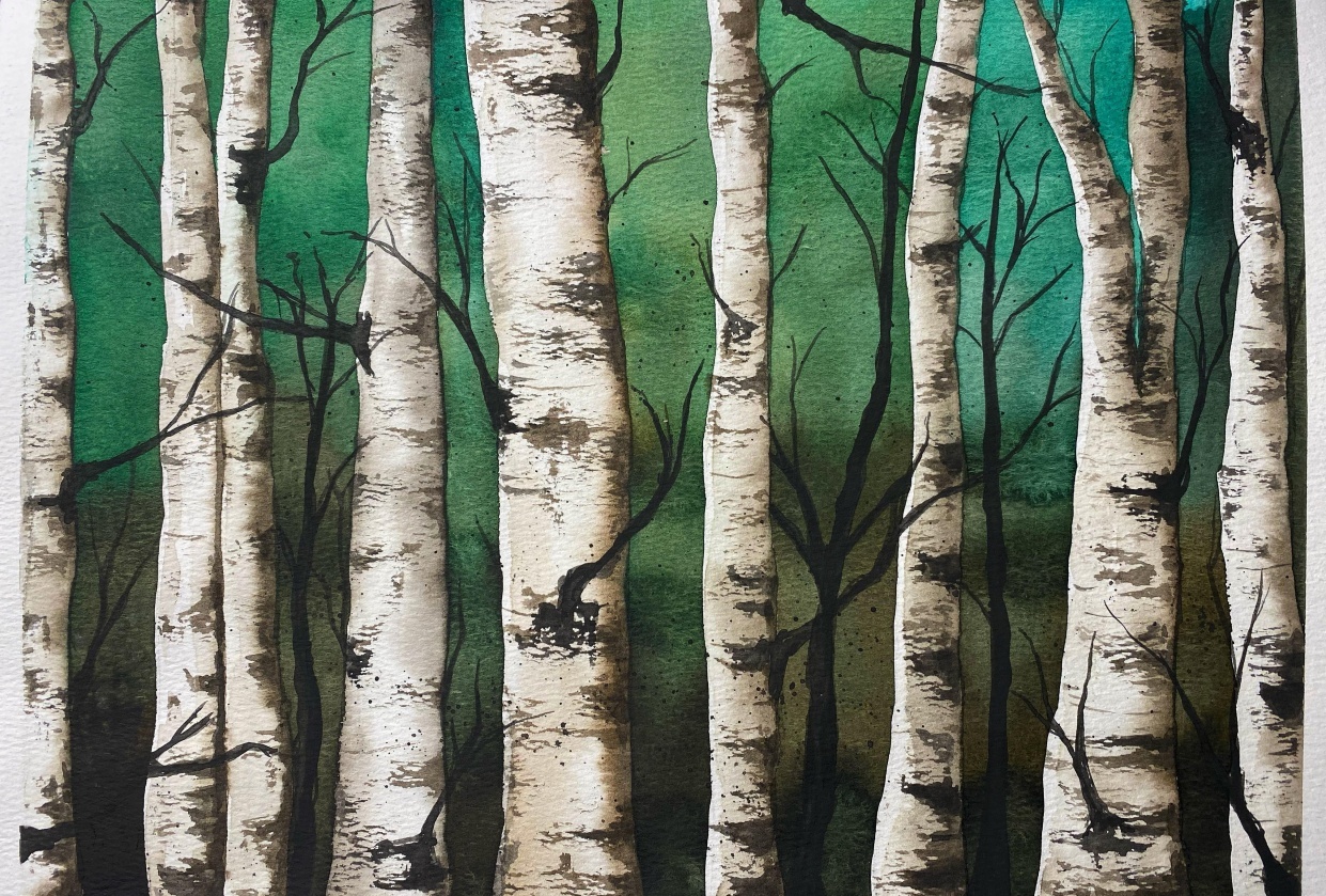 Birch trees - student project