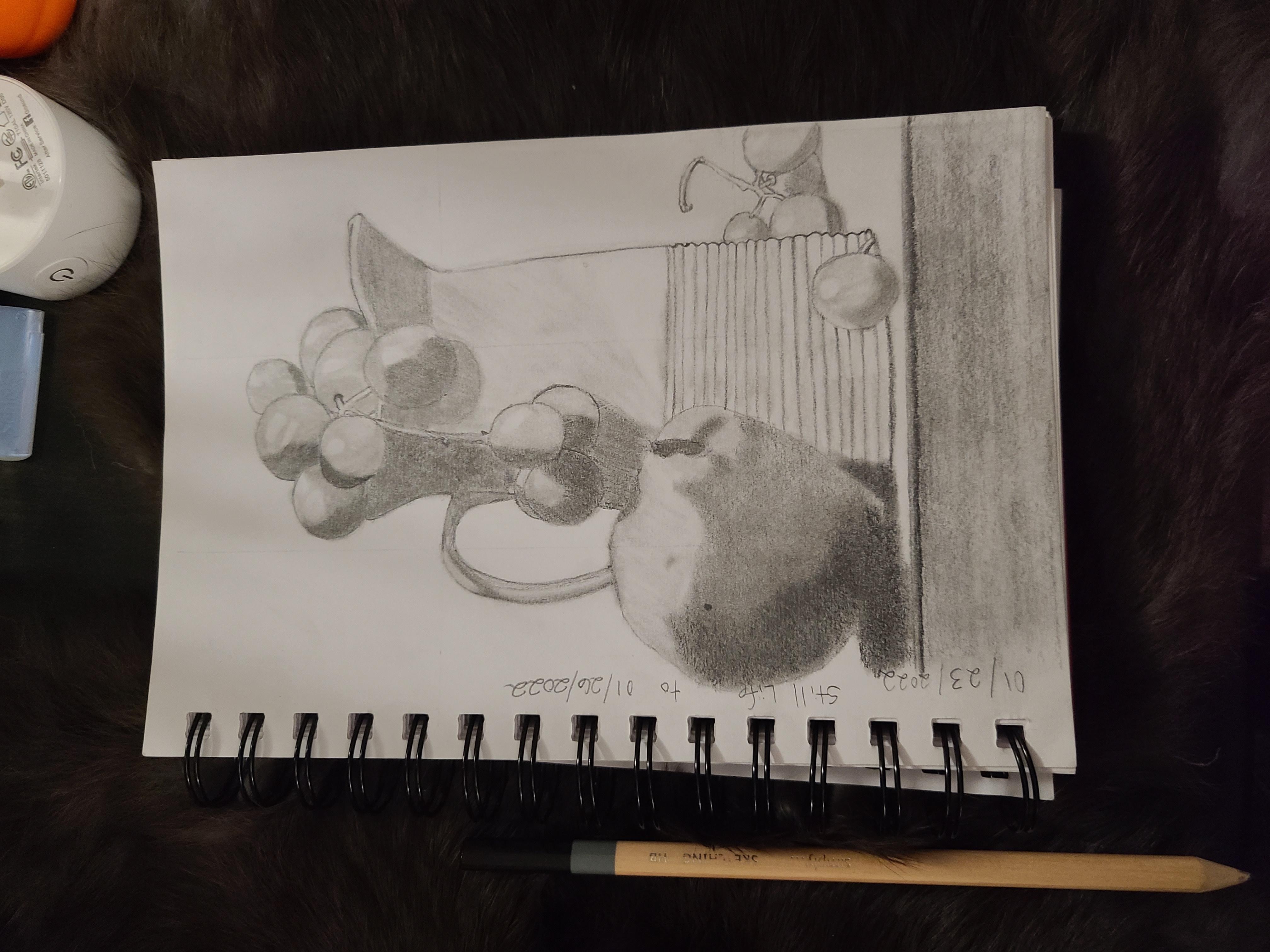more-projects-from-class-img