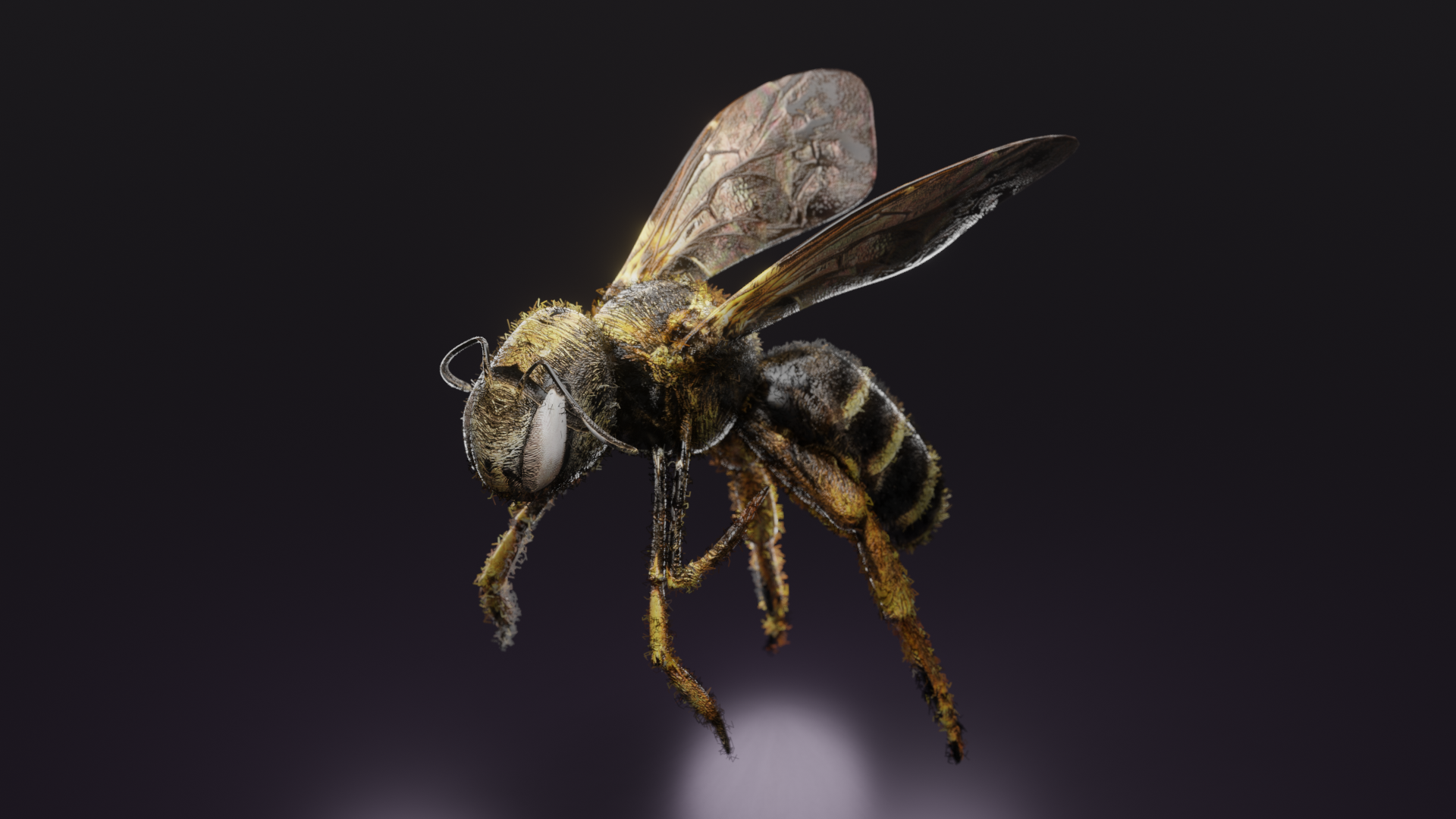 Bee Animation - student project