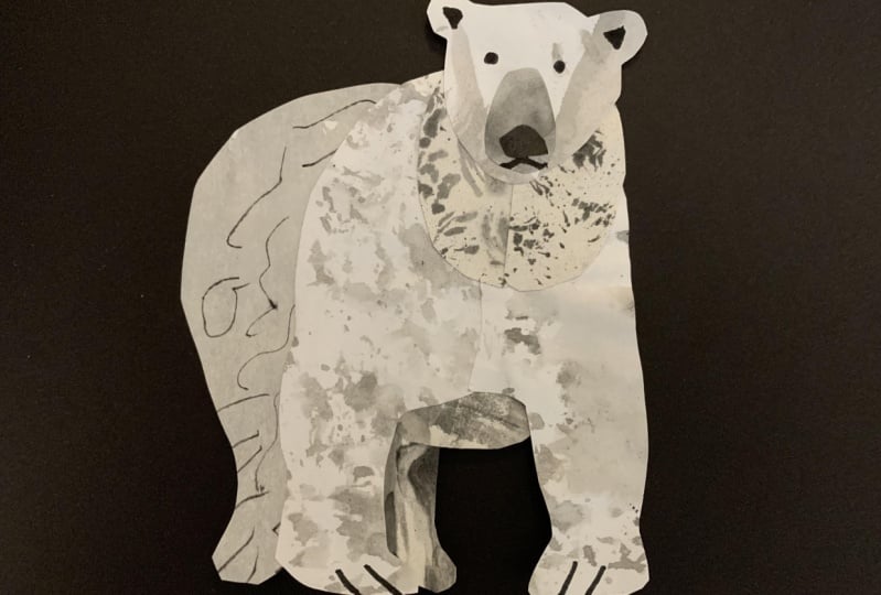 Bears