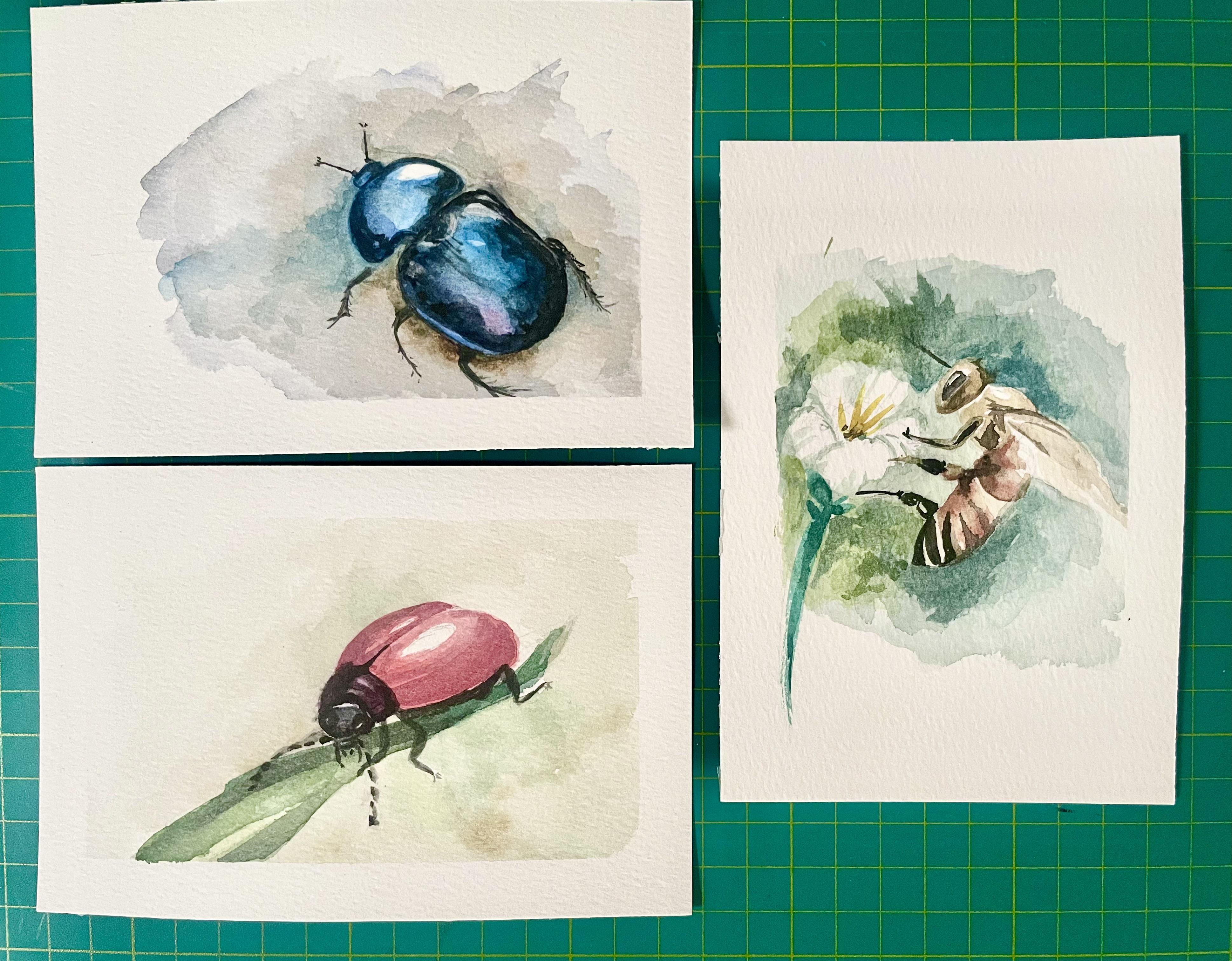 more-projects-from-class-img