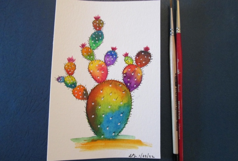 Miniature Rainbow Cactus