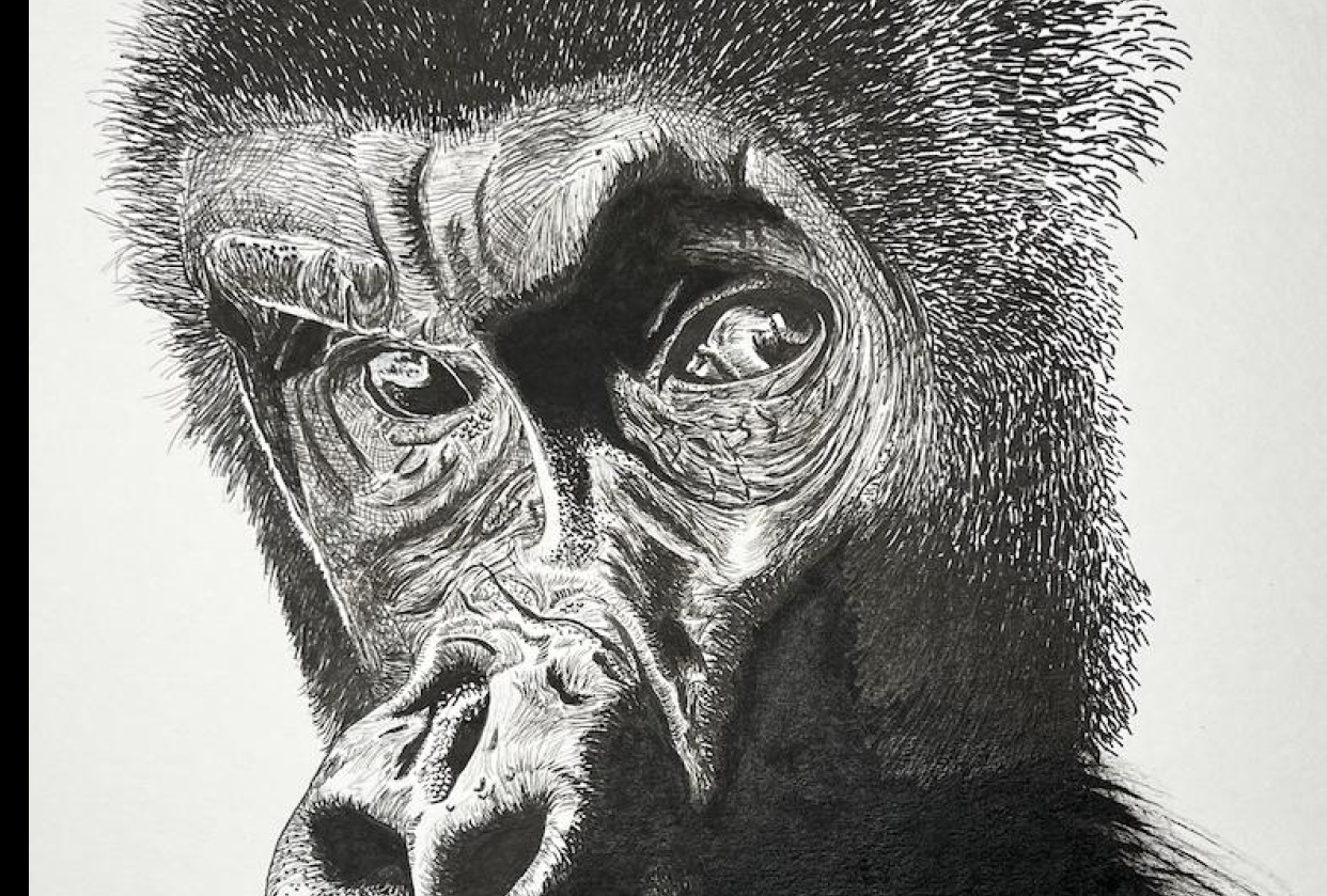 Here's looking at you - student project
