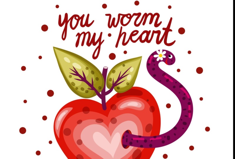 Adobe Illustrator Ipad Cards