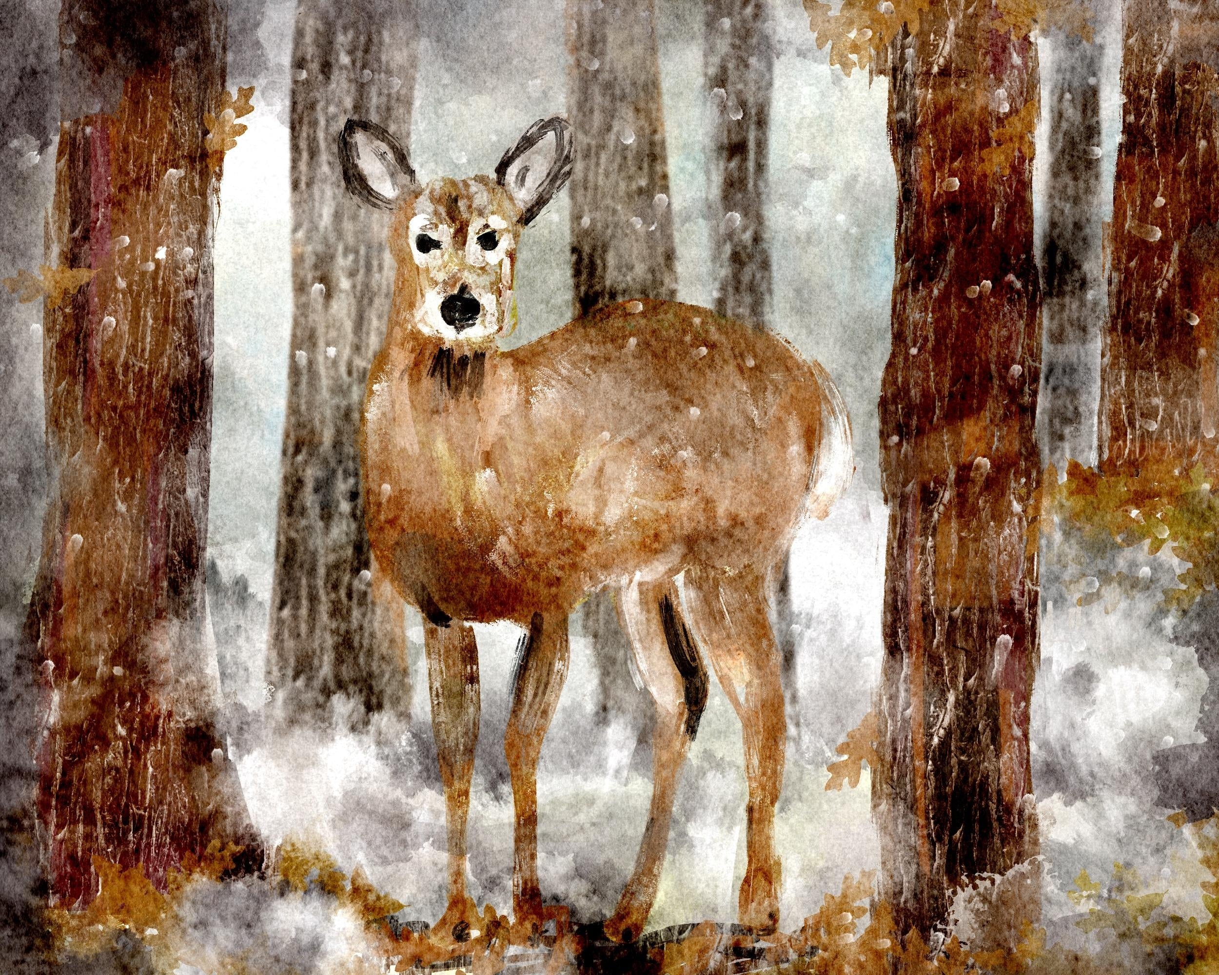 Deer in Winter woods - student project