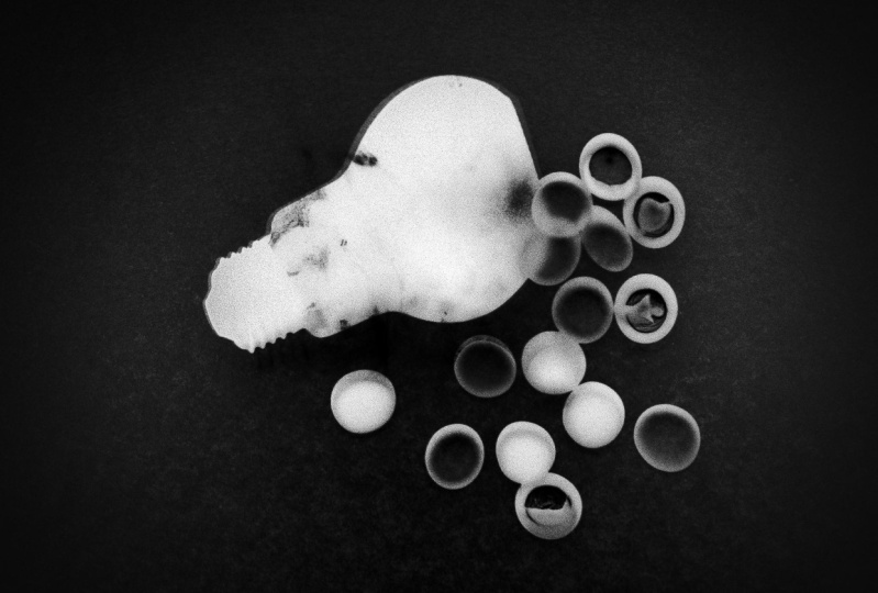 Photograms