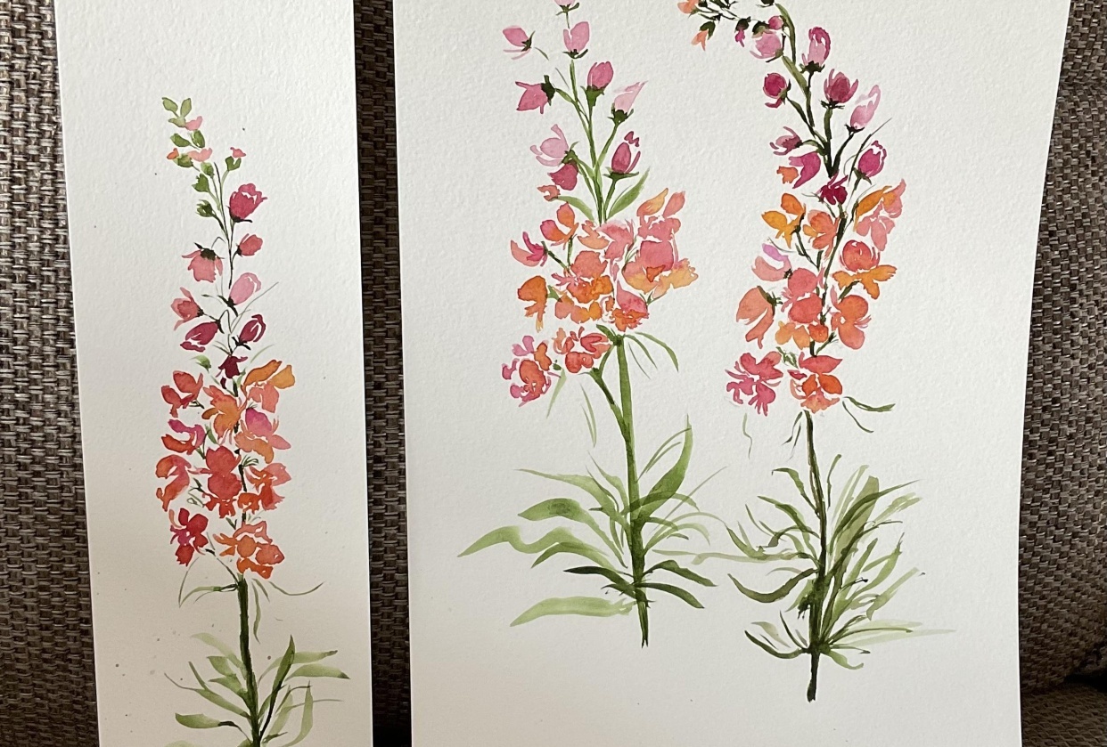 Snapdragon - student project