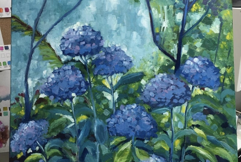 Hydrangeas