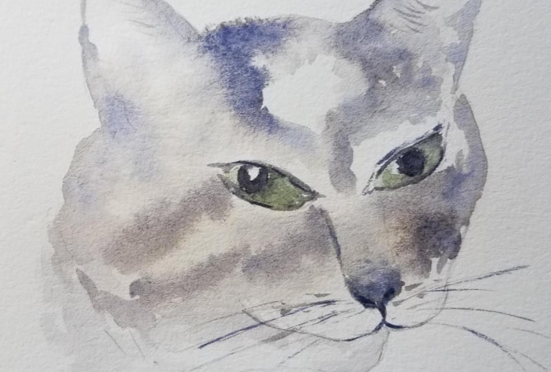 greycat