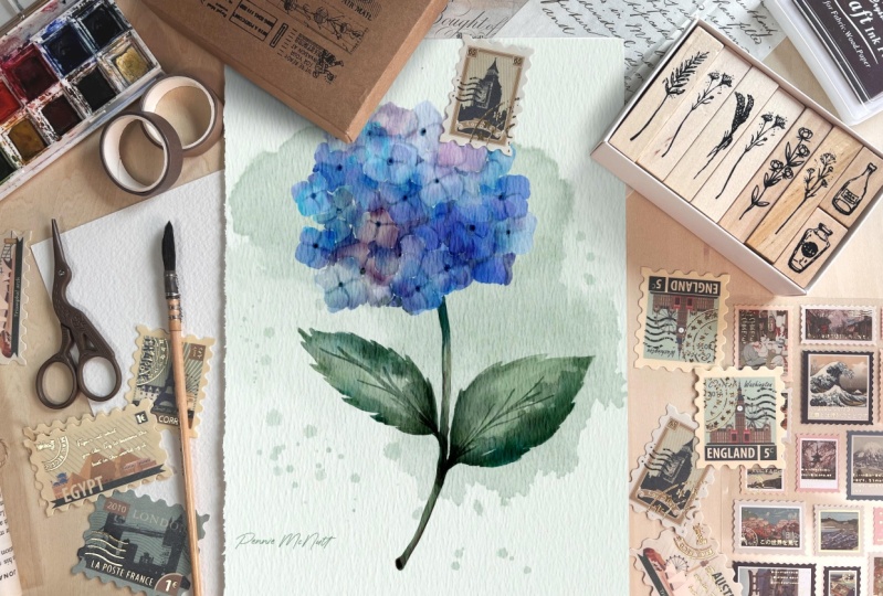 Hydrangea