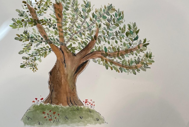 tree and pitcher