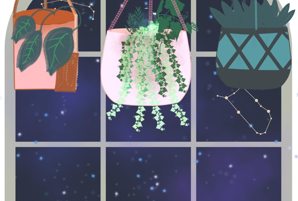 Macrame hanging pots - student project