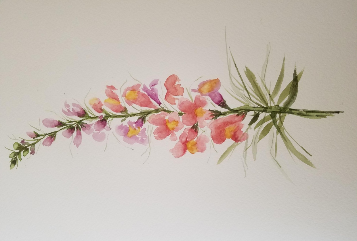 Watercolor snapdragon - student project