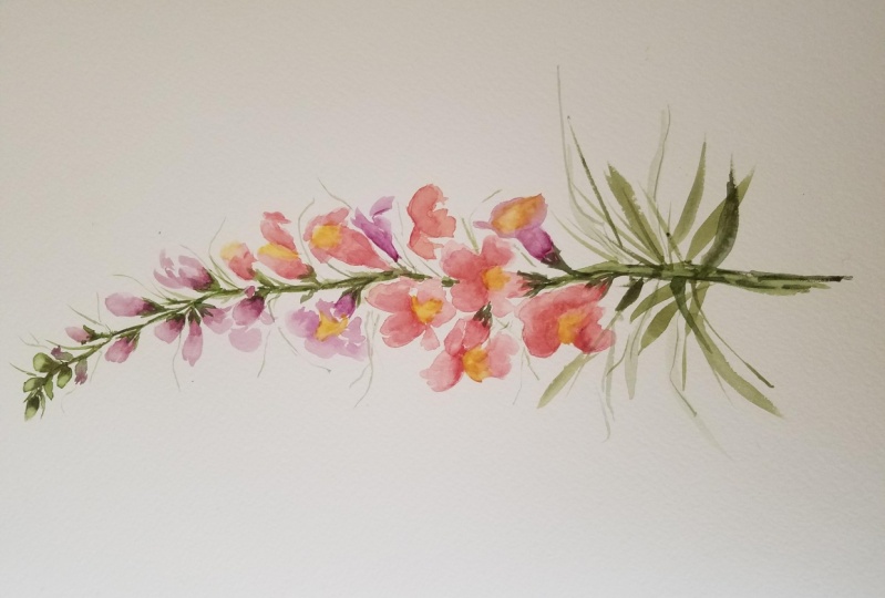 Watercolor snapdragon