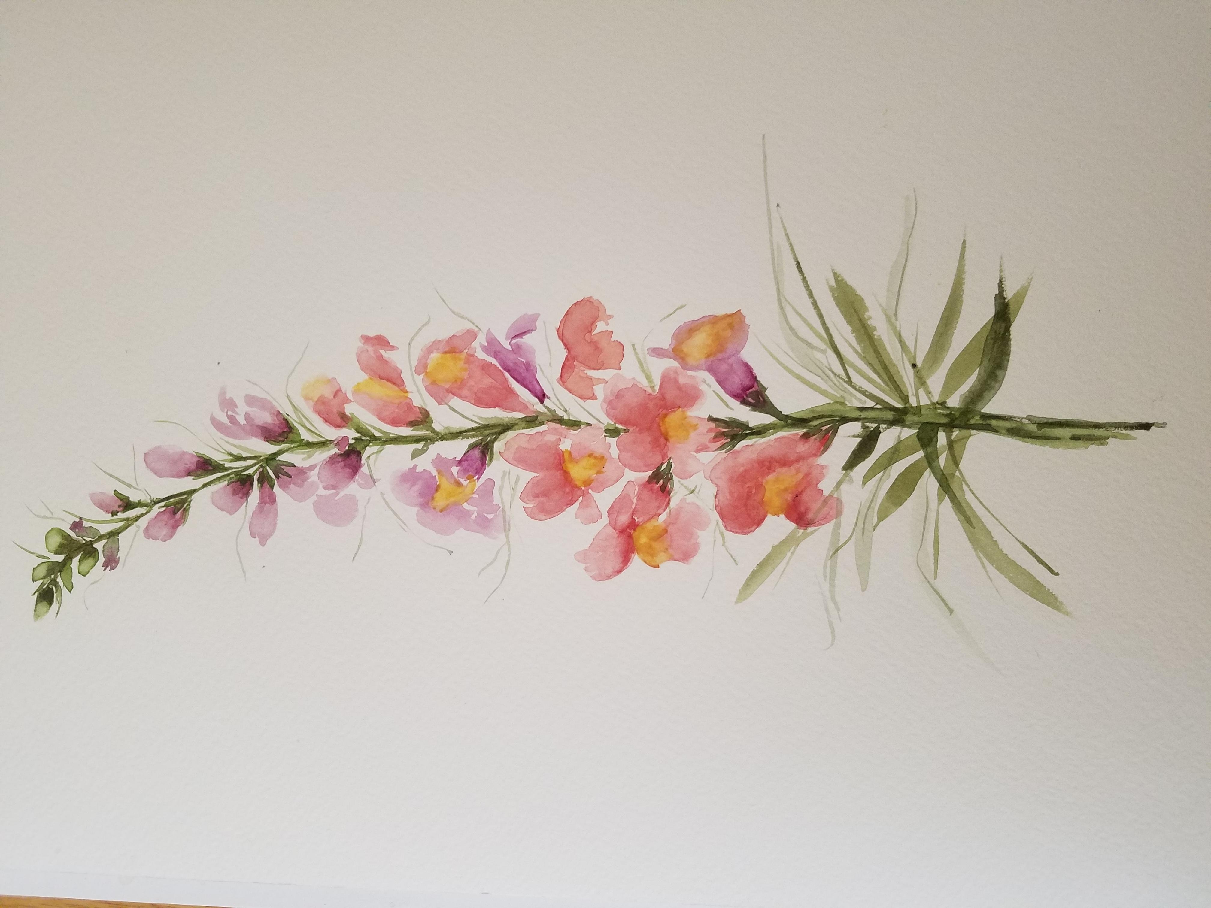 Watercolor snapdragon - student project
