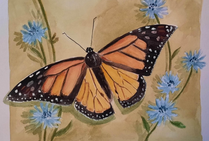 Butterfly with wild flowers