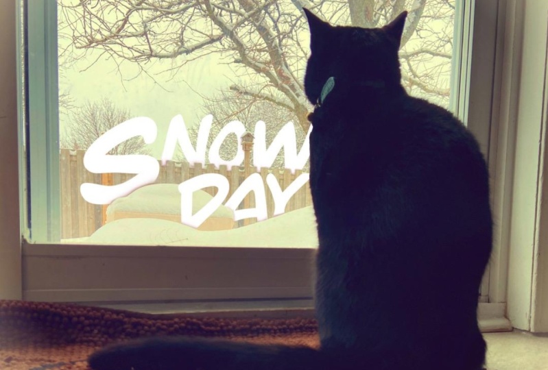 ‘Snow Day’