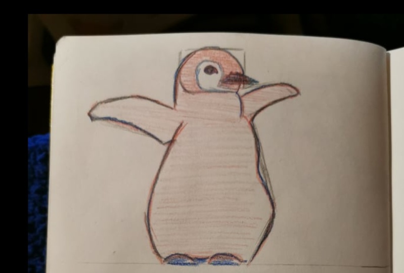 class project