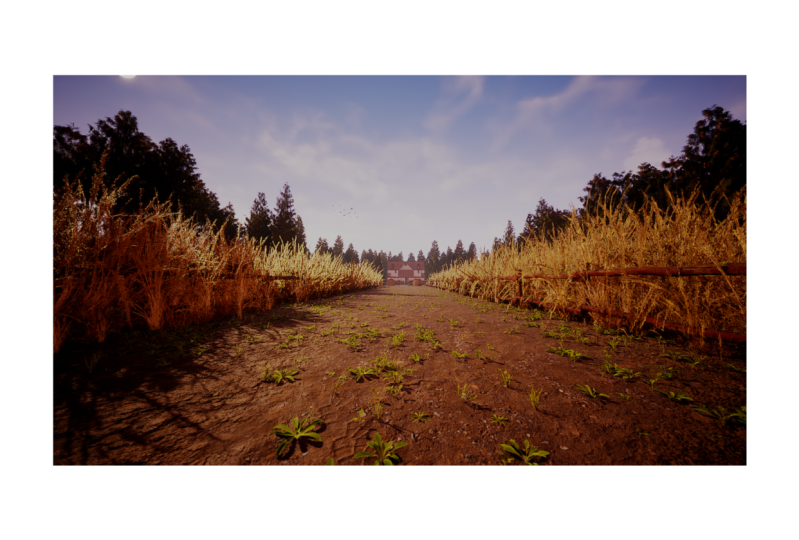 A Walk In The Field