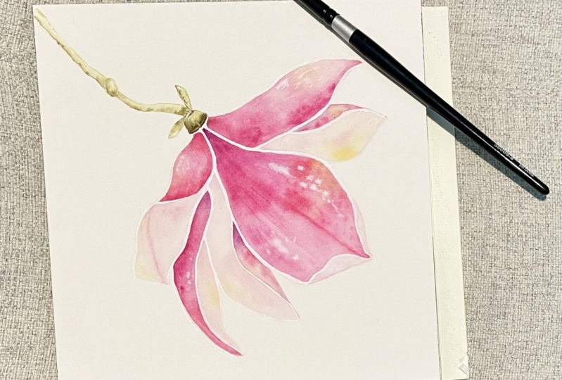 My magnolia