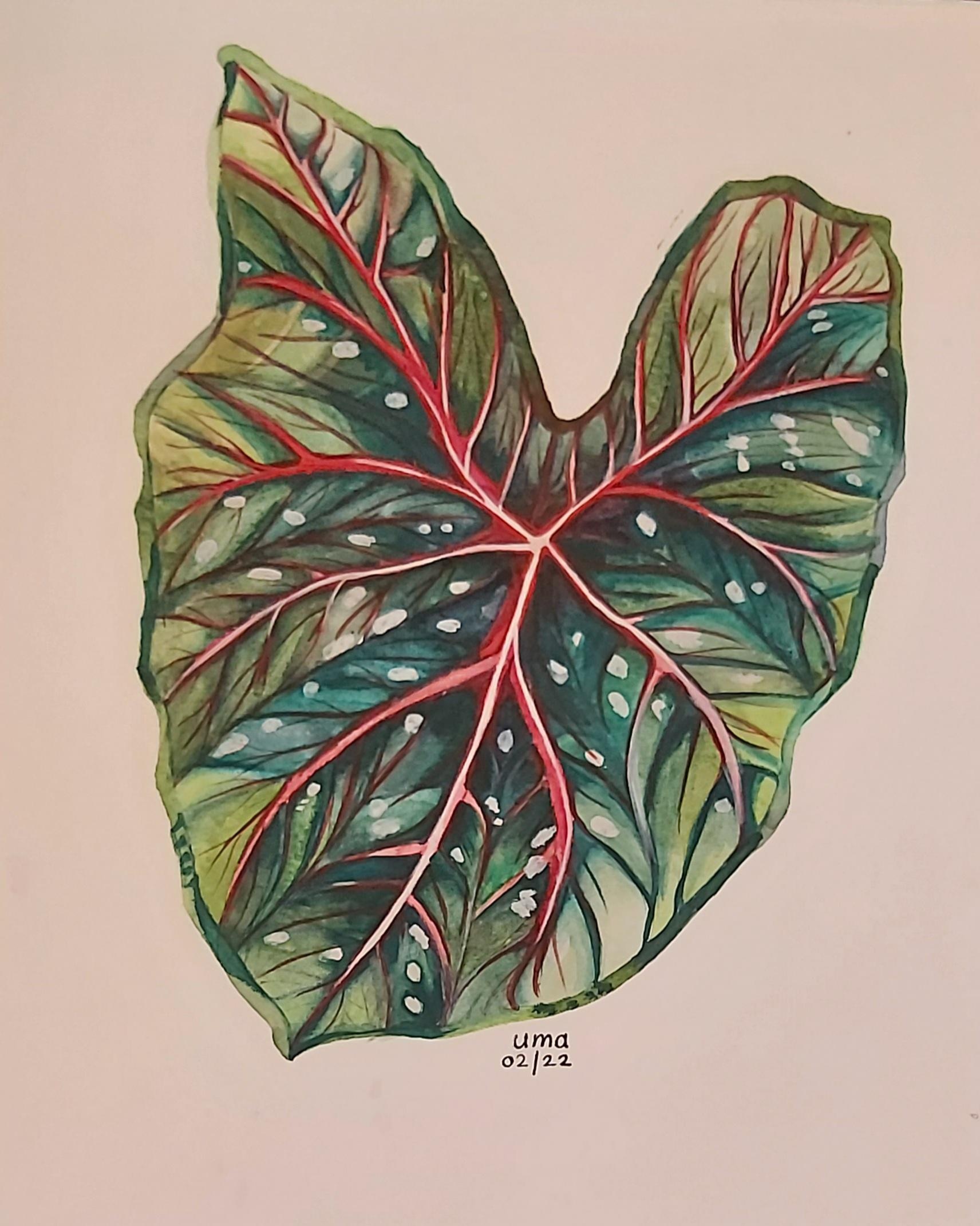Tropical leaf using  watercolor and gouache - student project