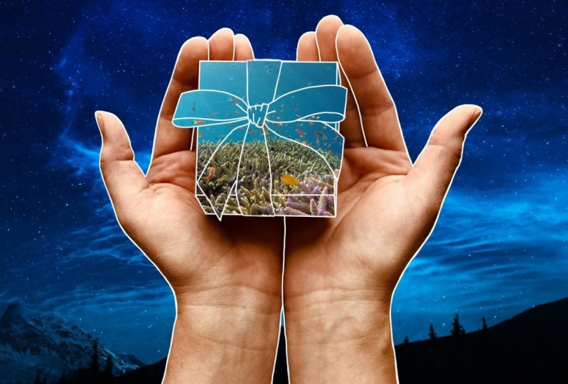 Drawing on photos ~