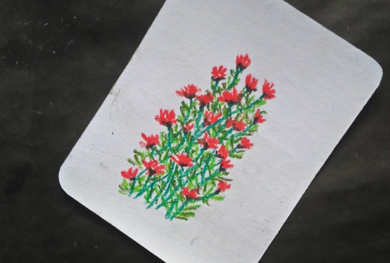 Redflower