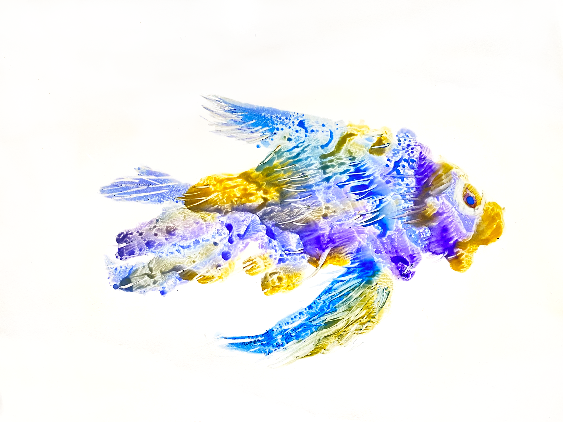 FISH - student project