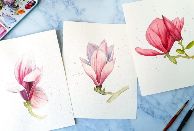 My first watercolor magnolias