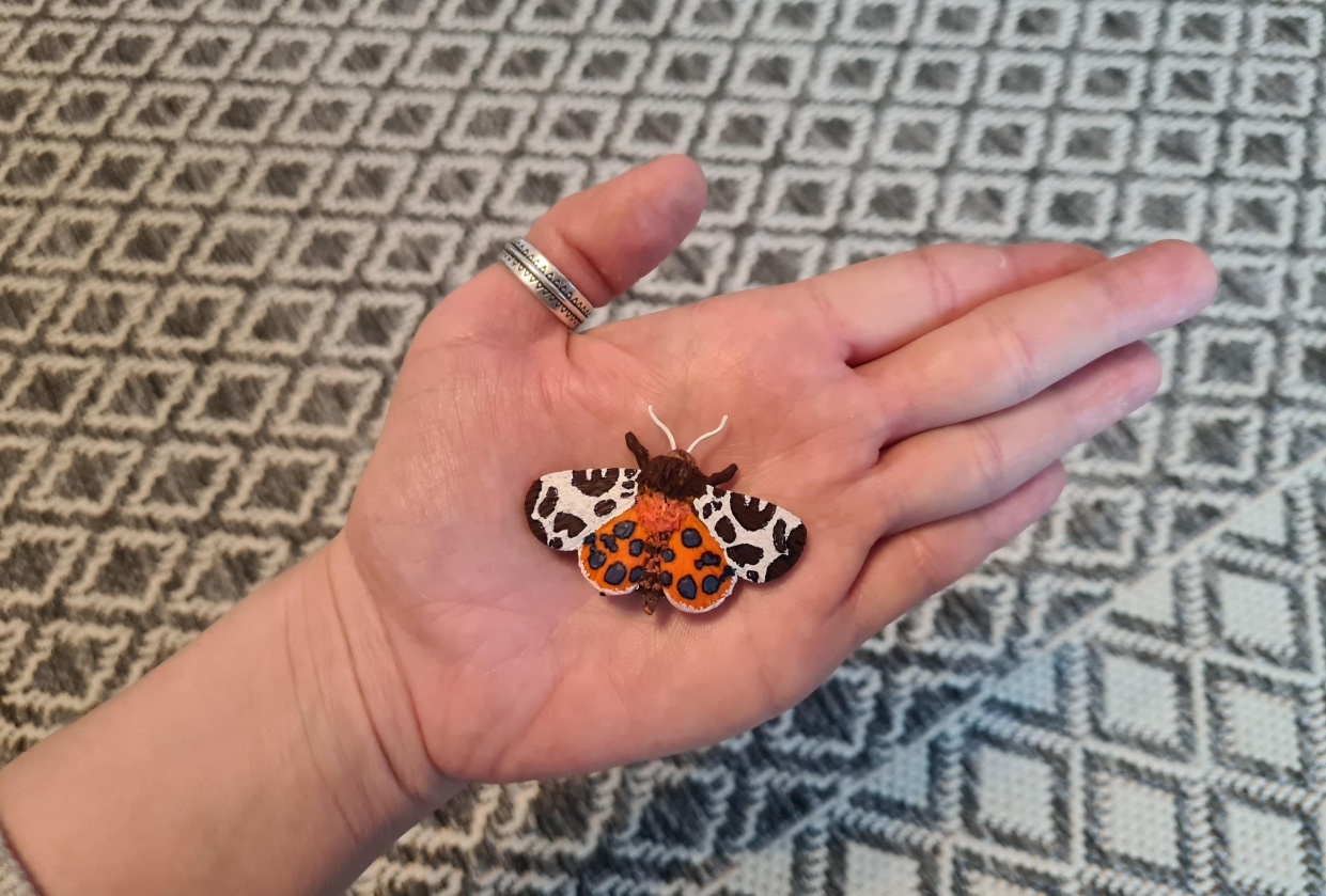 Garden tiger - student project