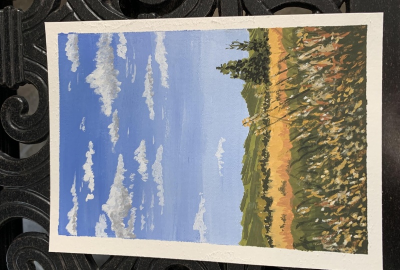 Prairie grasslands
