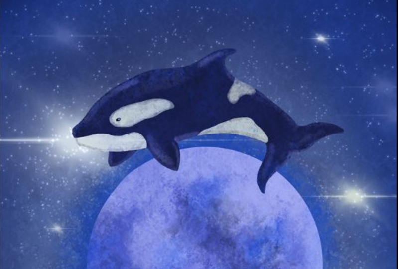 Orca