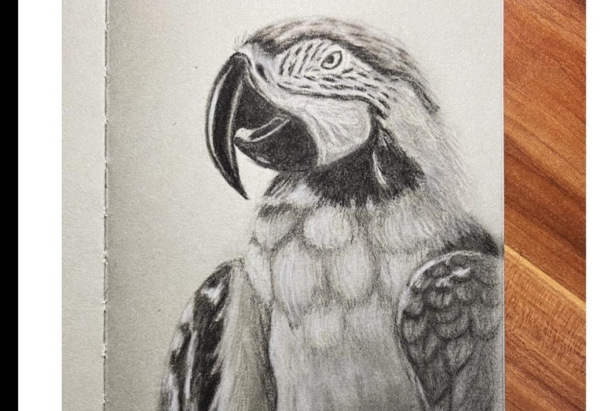 First try in Charcoal - student project