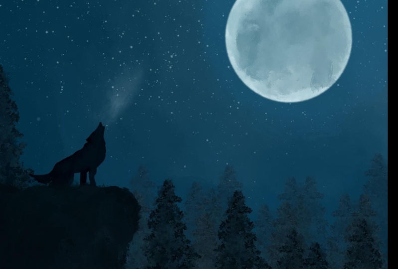 night