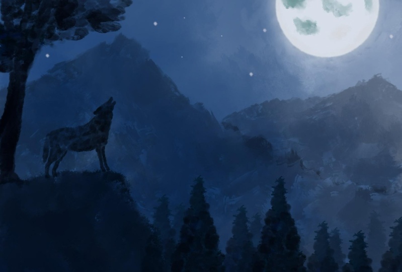 My Effort at this Illustration