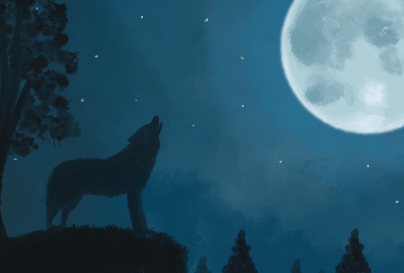 The Call of the Wild