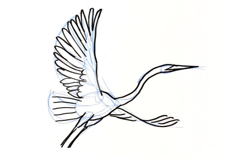 Example project: Herons and fan
