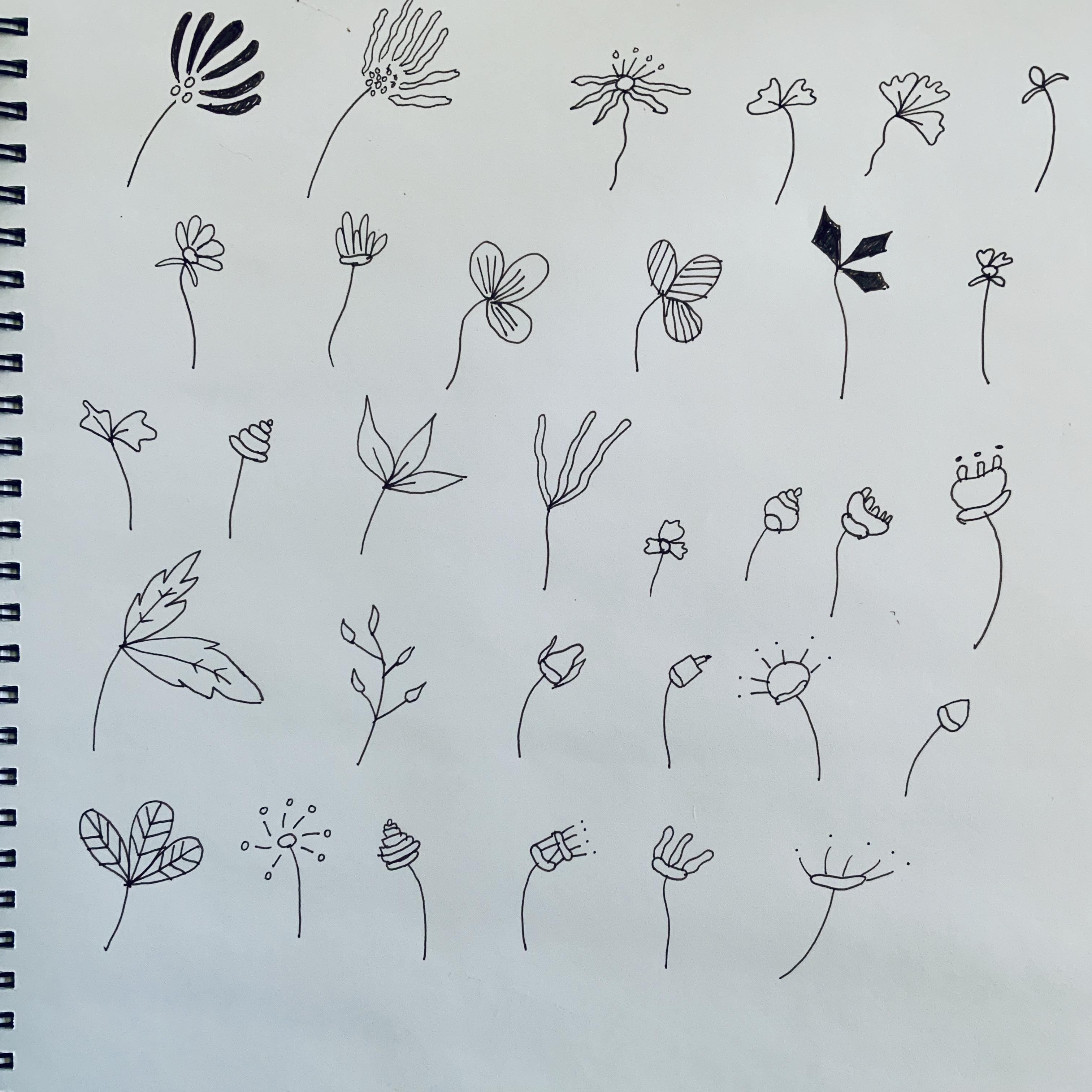more-projects-from-class-img